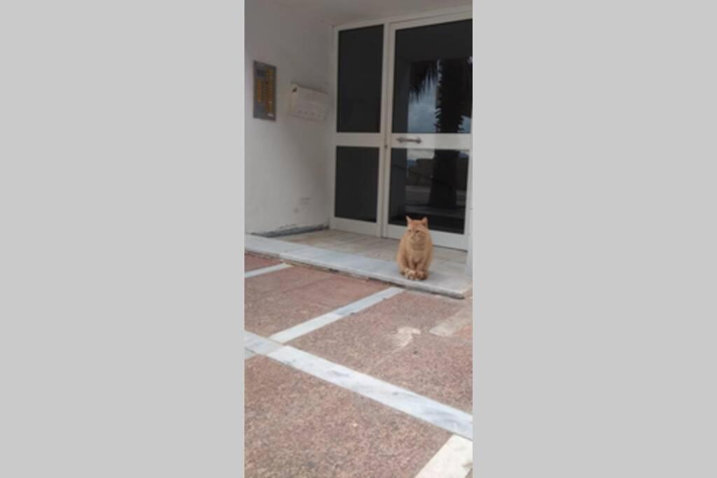 Captain'S Home Loutraki エクステリア 写真